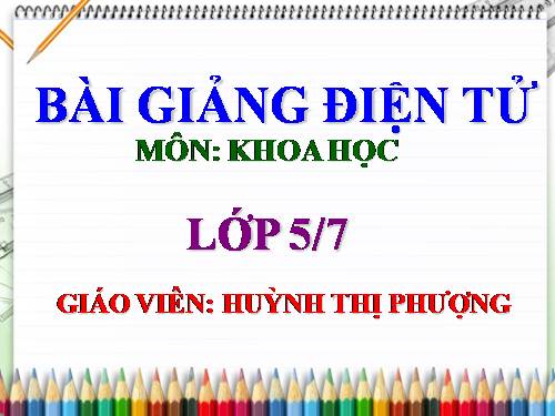 Bài 16. Phòng tránh HIV / AIDS