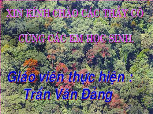 Bài 61. Ôn tập: Thực vật và động vật