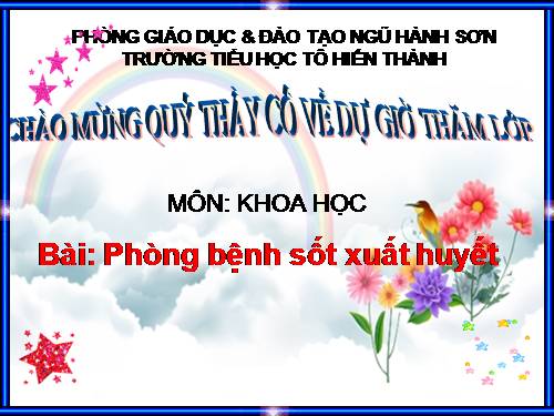 Bài 13. Phòng bệnh sốt xuất huyết