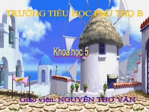 Bài 63. Tài nguyên thiên nhiên