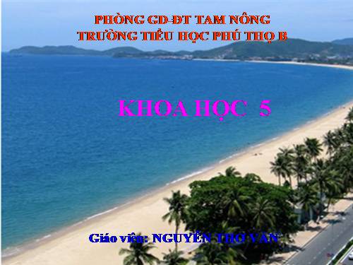 Bài 62. Môi trường