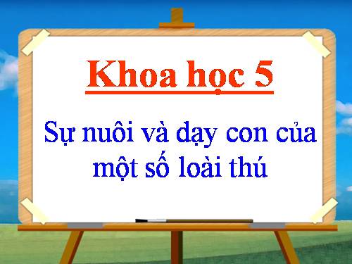 Bài 60. Sự nuôi và dạy con của một số loài thú