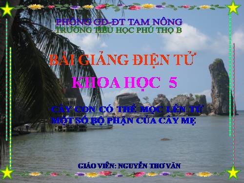 Bài 54. Cây con có thể mọc lên từ một số bộ phận của cây mẹ