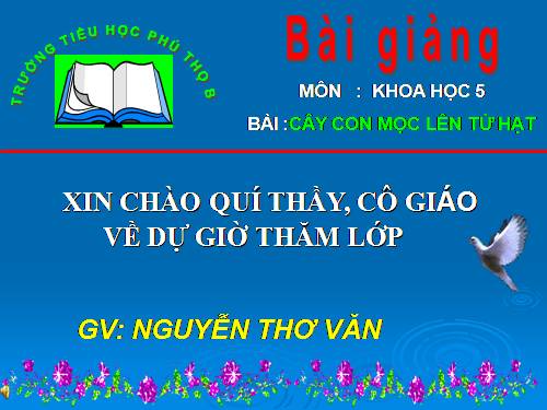 Bài 53. Cây con mọc lên từ hạt