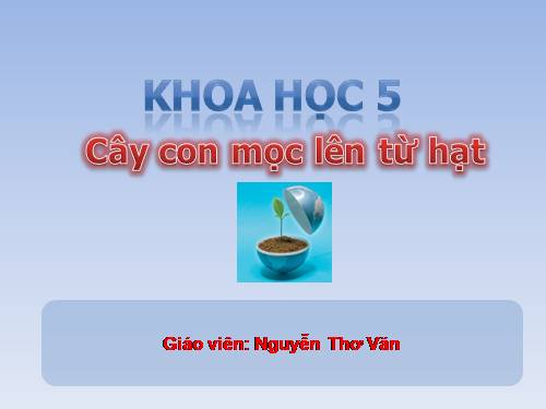 Bài 53. Cây con mọc lên từ hạt