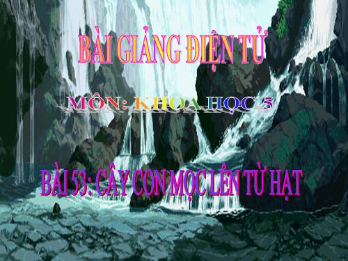 Bài 53. Cây con mọc lên từ hạt