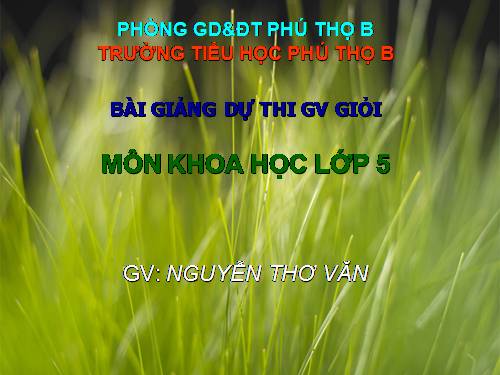 Bài 53. Cây con mọc lên từ hạt