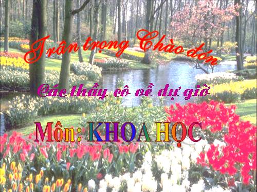 Bài 51. Cơ quan sinh sản của thực vật có hoa