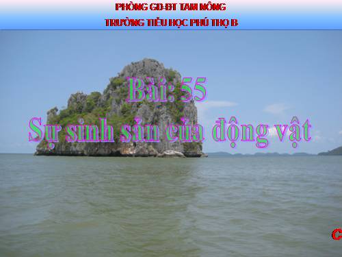 Bài 55. Sự sinh sản của động vật