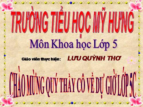 Bài 20-21. Ôn tập: Con người và sức khỏe
