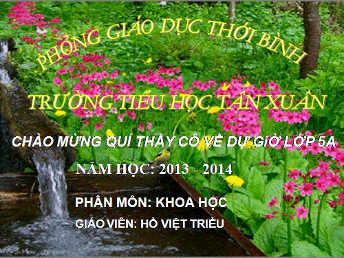 Bài 22. Tre, mây, song