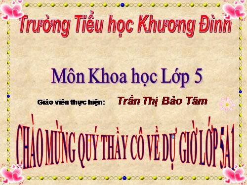 Bài 20-21. Ôn tập: Con người và sức khỏe
