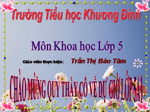 Bài 19. Phòng tránh tai nạn giao thông đường bộ
