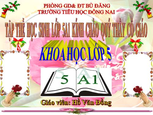 Bài 24. Đồng và hợp kim của đồng