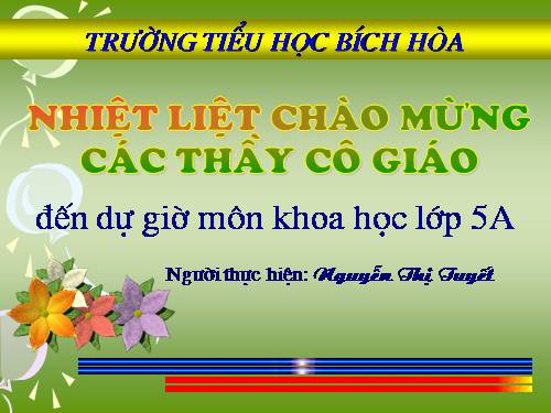 Bài 19. Phòng tránh tai nạn giao thông đường bộ