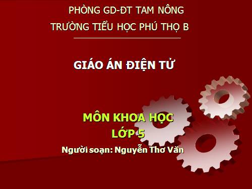 Bài 38-39. Sự biến đổi hóa học