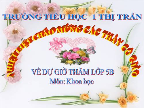 Bài 58. Sự sinh sản và nuôi con của chim