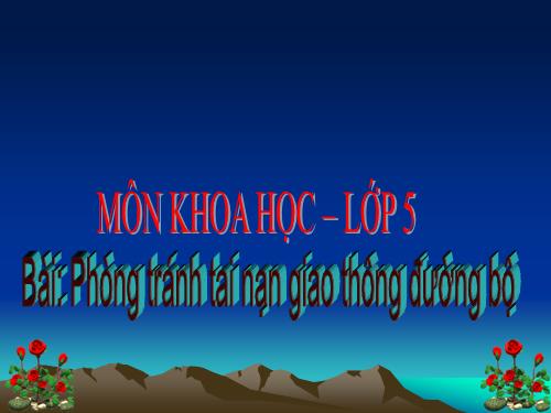 Bài 19. Phòng tránh tai nạn giao thông đường bộ