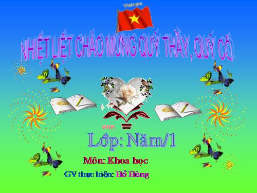 Bài 18. Phòng tránh bị xâm hại