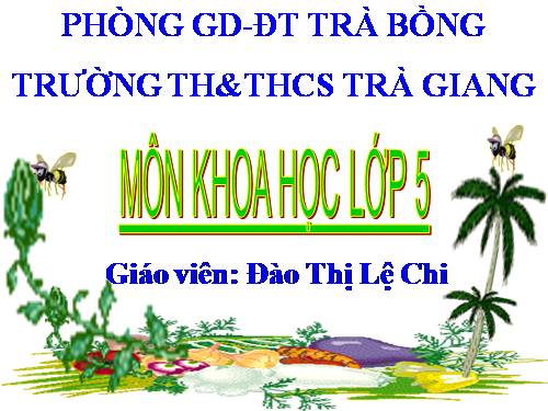 Bài 65. Tác động của con người đến môi trường rừng