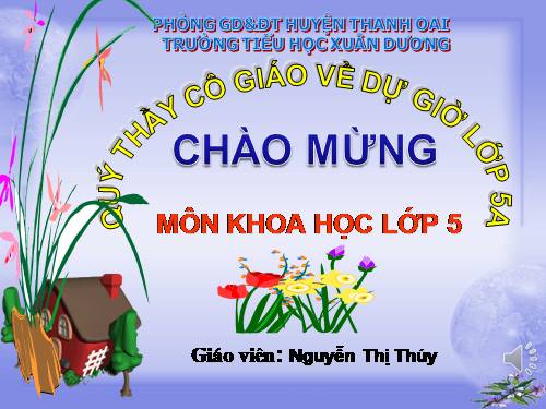 Bài 27. Gốm xây dựng: gạch, ngói