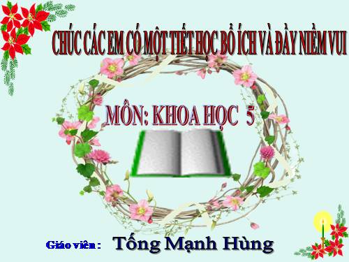 Bài 13. Phòng bệnh sốt xuất huyết