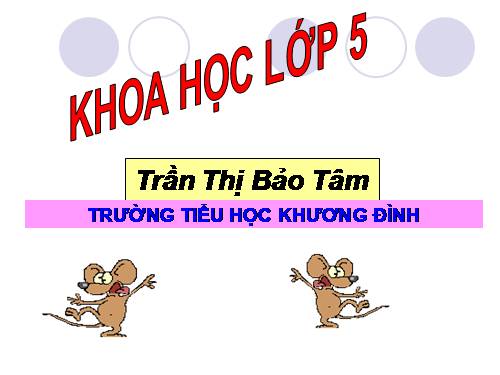 Bài 13. Phòng bệnh sốt xuất huyết