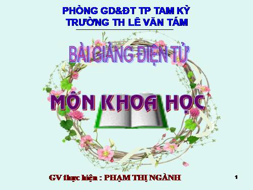 Bài 13. Phòng bệnh sốt xuất huyết