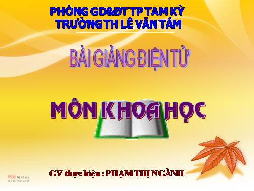 Bài 12. Phòng bệnh sốt rét