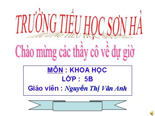 Bài 11. Dùng thuốc an toàn