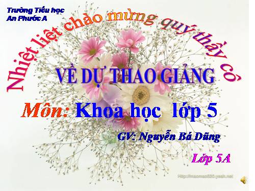 Bài 15. Phòng bệnh viêm gan A