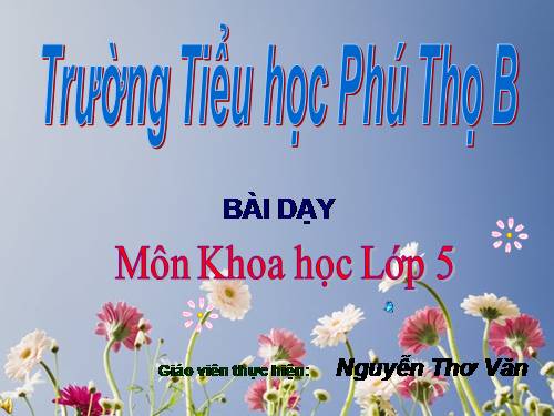 Bài 19. Phòng tránh tai nạn giao thông đường bộ