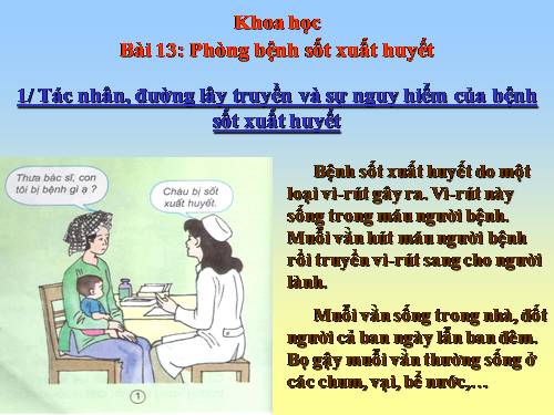 Bài 13. Phòng bệnh sốt xuất huyết