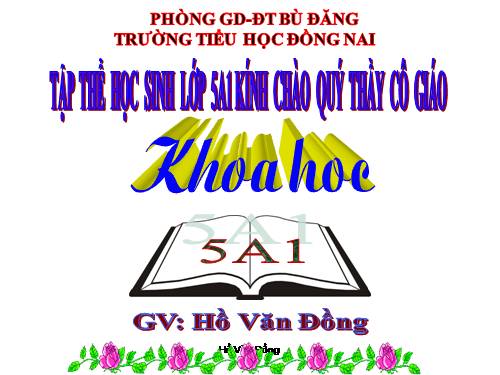 Bài 16. Phòng tránh HIV / AIDS