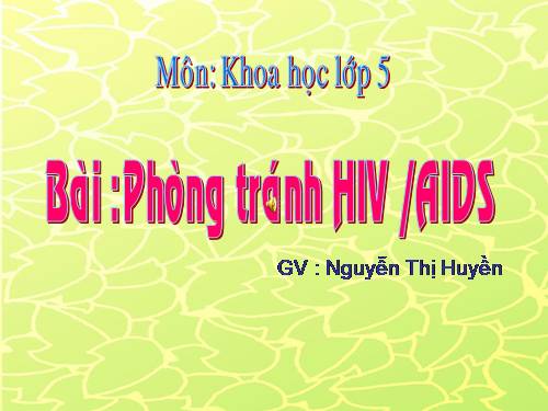 Bài 16. Phòng tránh HIV / AIDS