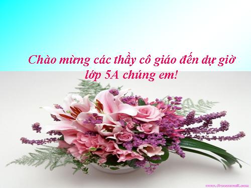 Bài 19. Phòng tránh tai nạn giao thông đường bộ