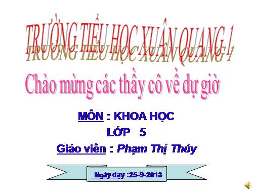 Bài 11. Dùng thuốc an toàn