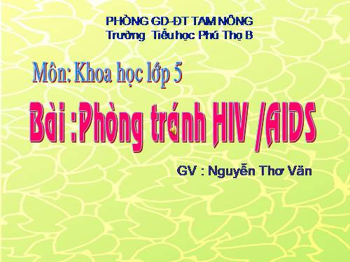 Bài 16. Phòng tránh HIV / AIDS