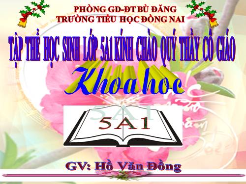 Bài 19. Phòng tránh tai nạn giao thông đường bộ