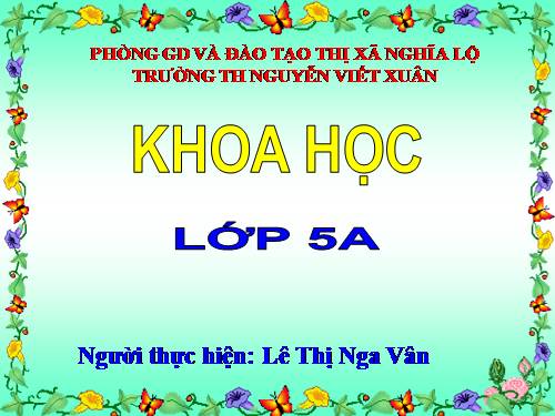 Bài 14. Phòng bệnh viêm não