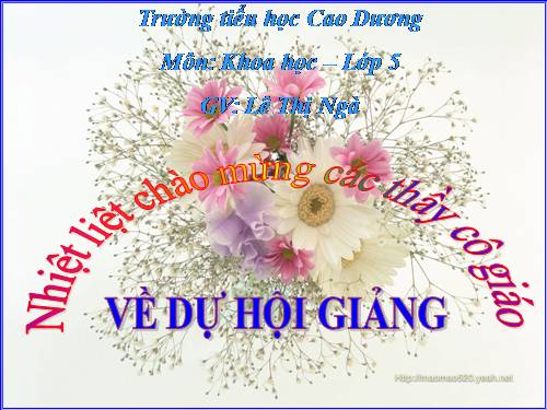 Bài 15. Phòng bệnh viêm gan A