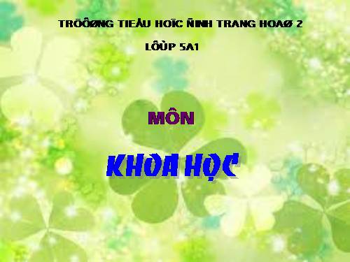 Bài 6. Từ lúc mới sinh đến tuổi dậy thì