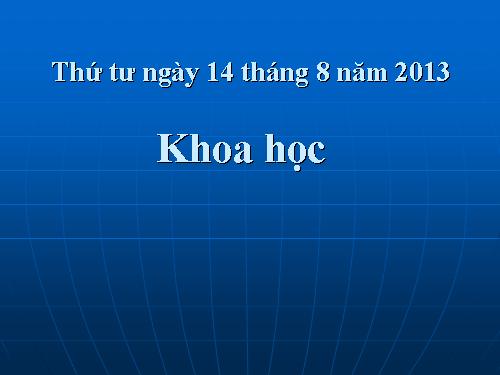 Bài 2-3. Nam hay nữ?