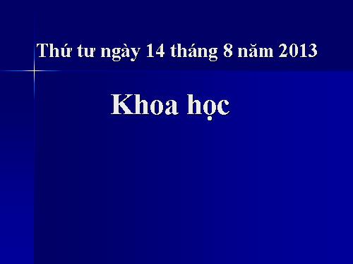 Bài 2-3. Nam hay nữ?