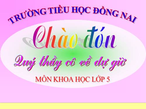 Bài 53. Cây con mọc lên từ hạt