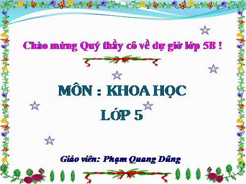 Bài 32. Tơ sợi