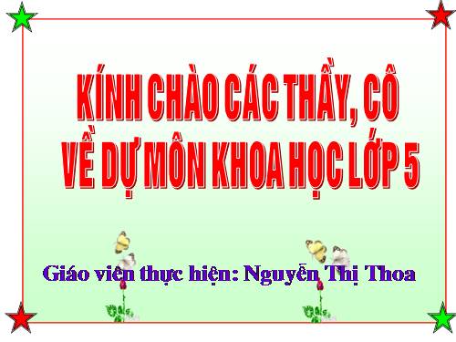 Bài 19. Phòng tránh tai nạn giao thông đường bộ