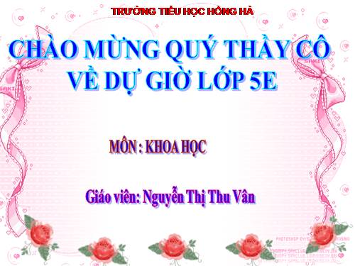 Bài 45. Sử dụng năng lượng điện