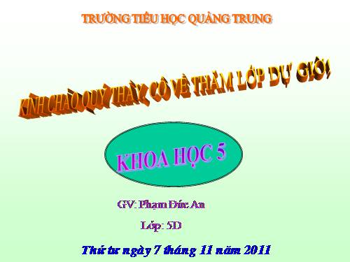 Bài 19. Phòng tránh tai nạn giao thông đường bộ