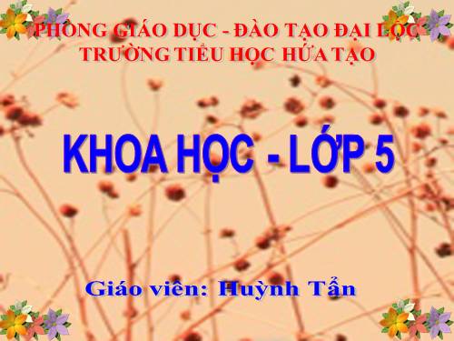 Bài 51. Cơ quan sinh sản của thực vật có hoa